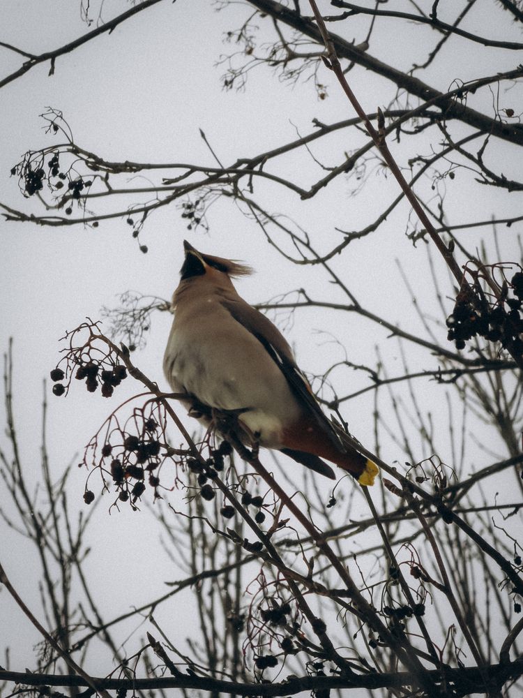 Photograph by ALISA NEZHINSKAYA
