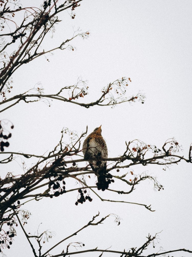 Photograph by ALISA NEZHINSKAYA