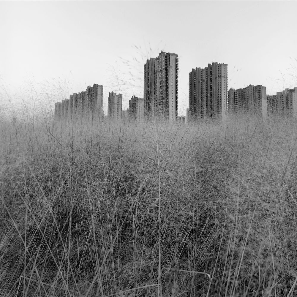 Photograph by Игорь Крыжко