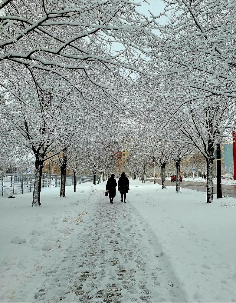 Photograph by Zinaida Nesselmann