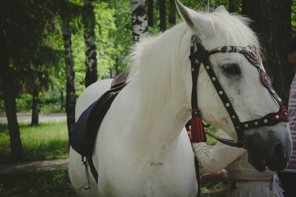 Photograph by Любовь Иванова