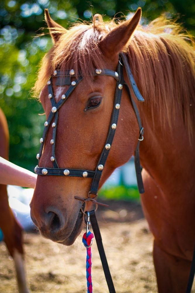 Photograph by Любовь Иванова