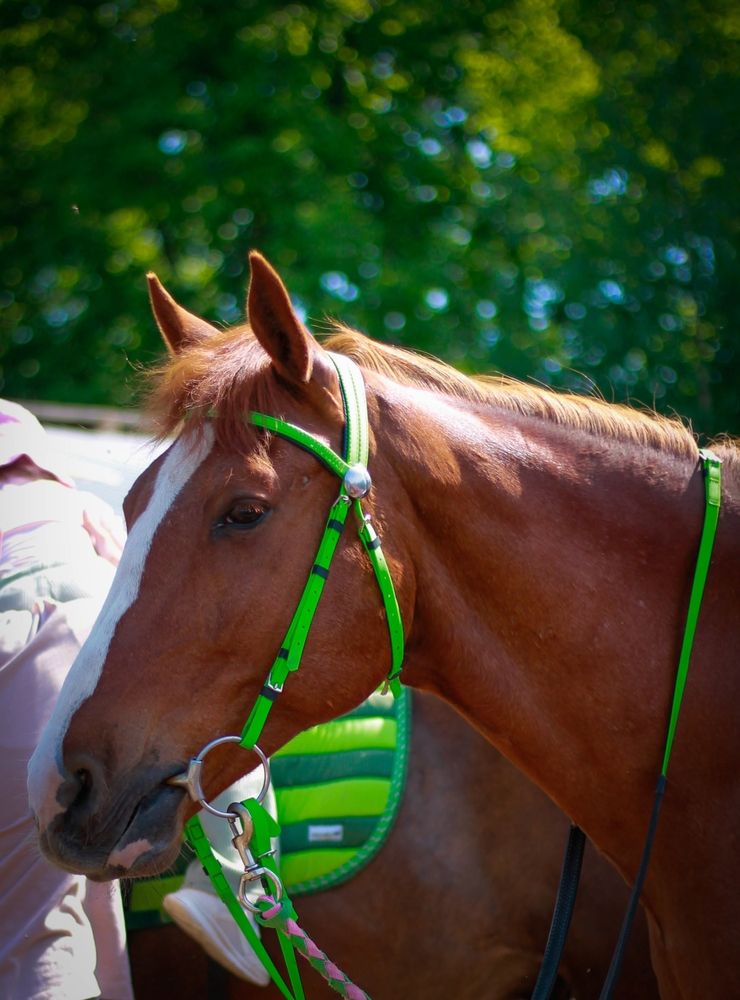 Photograph by Любовь Иванова