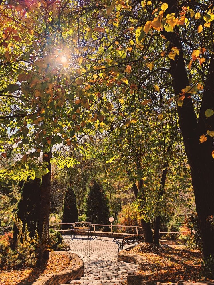 Photograph by Серёга Ануфриев