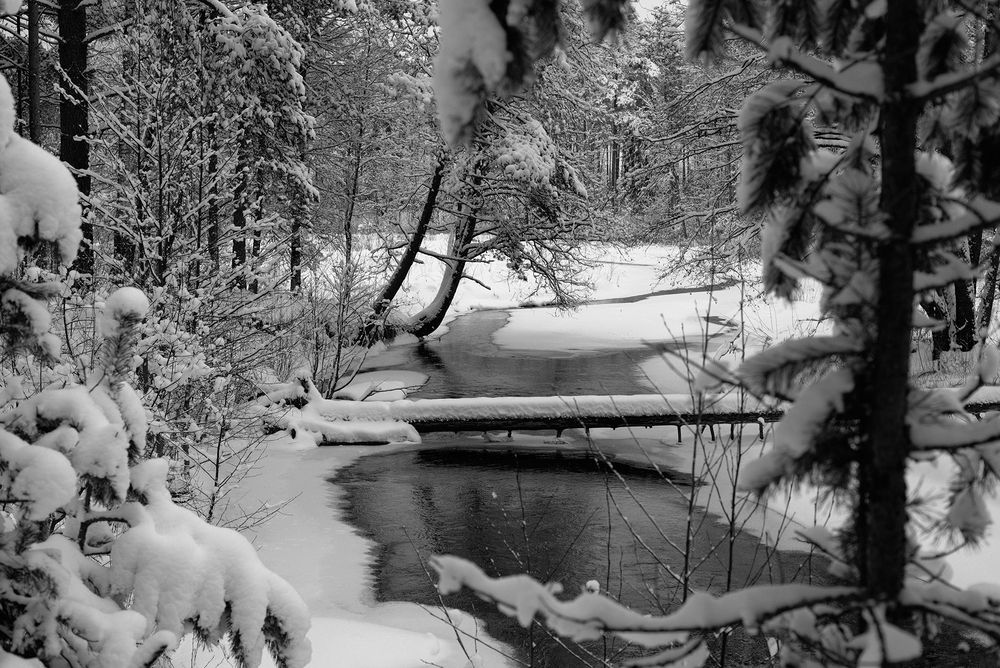 Photograph by Виталий Монахов