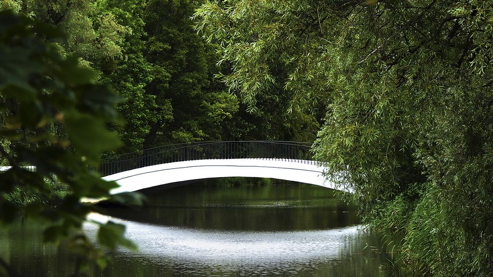 Photograph by Алексей Парамонов