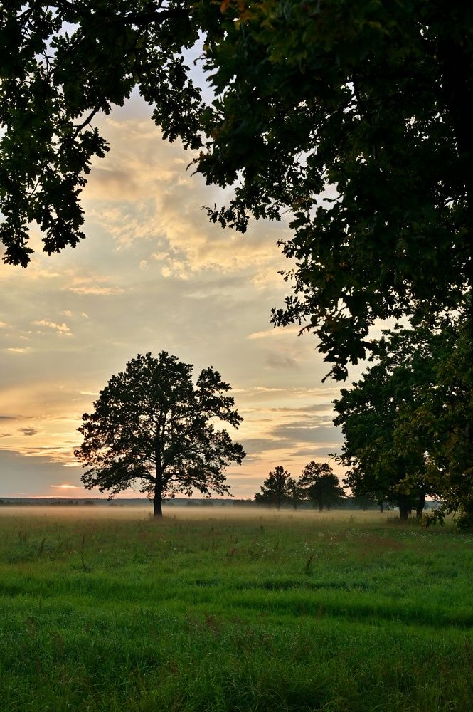 Photograph by Никита Русецкий