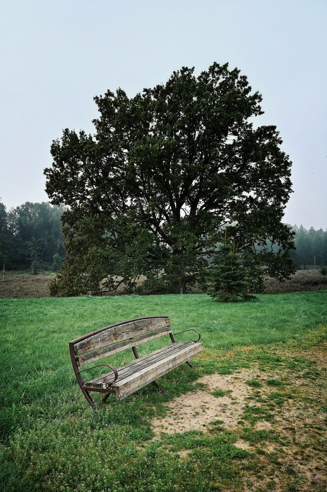 Photograph by Никита Русецкий