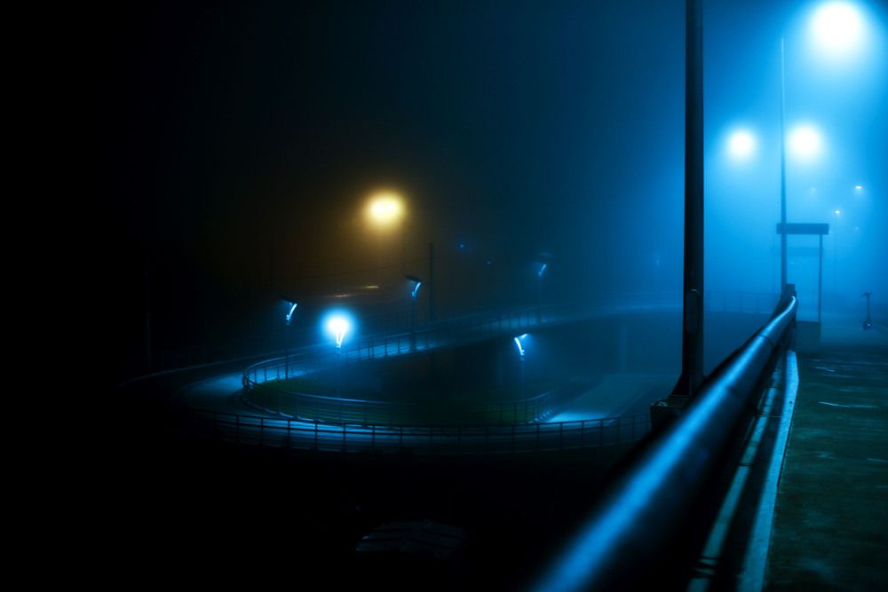 Photograph by Лейли Симонян
