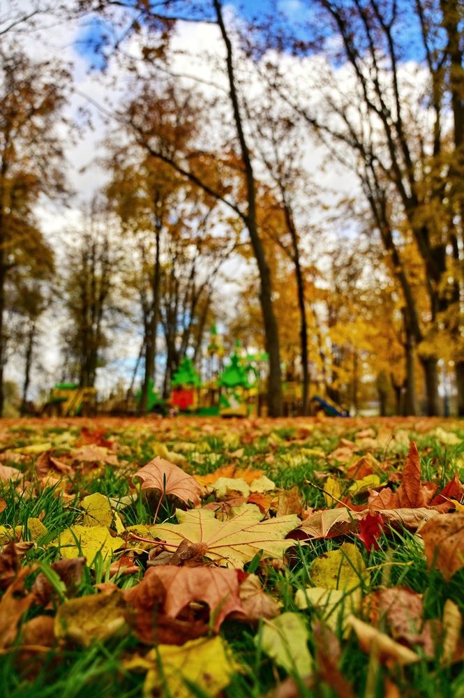 Photograph by Никита Русецкий