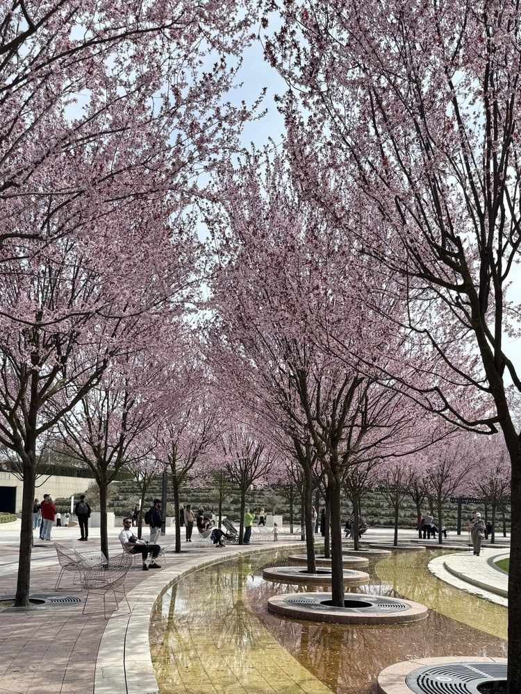 Photograph by Татьяна Семёнова