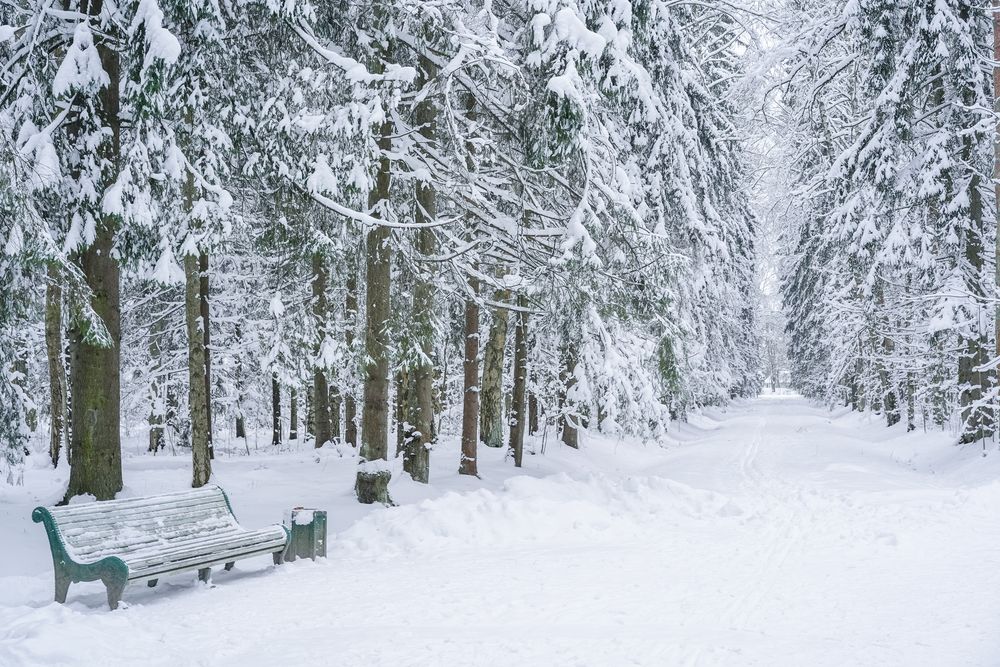 Photograph by Елена Суворова