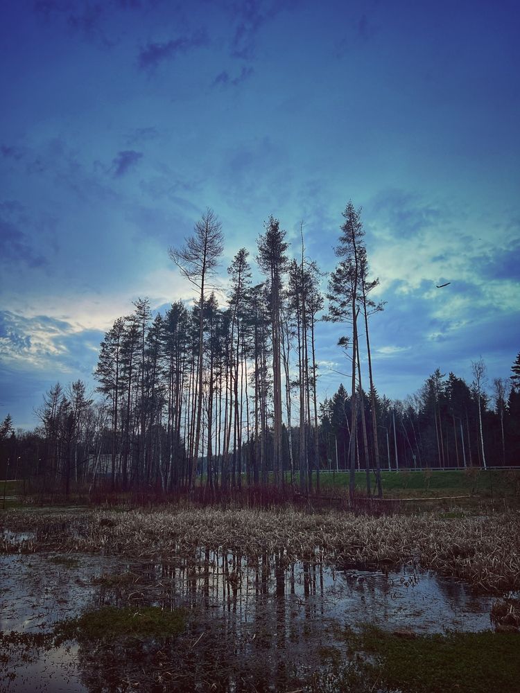 Photograph by Сергей Прудников