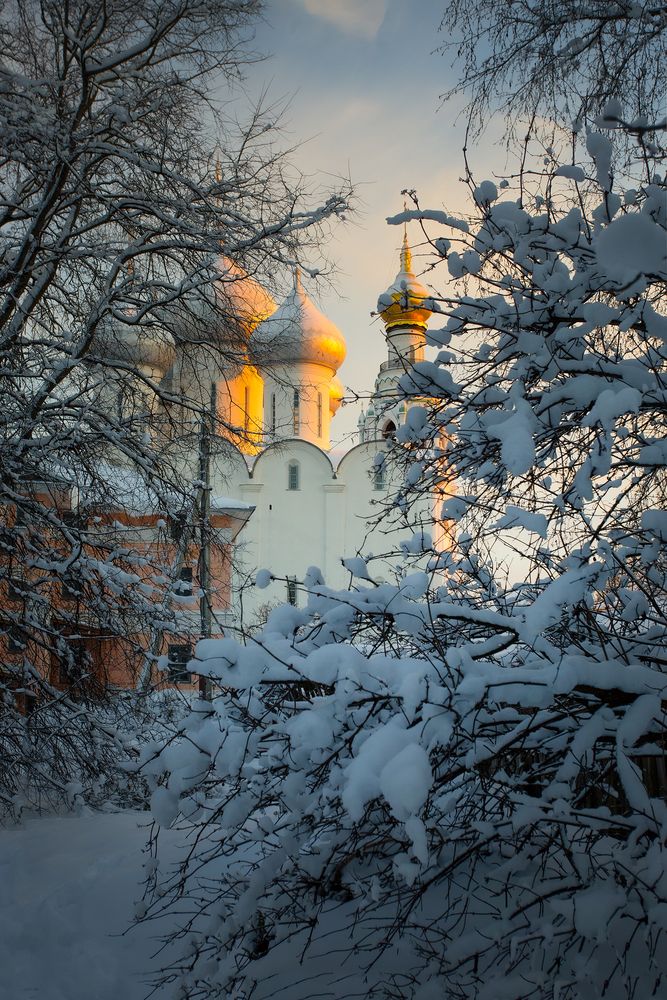 Фотография автора Колтакова Наталия