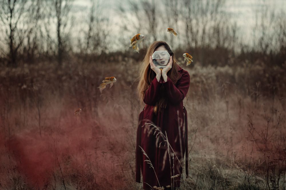 Фотография автора Mila Agafonova