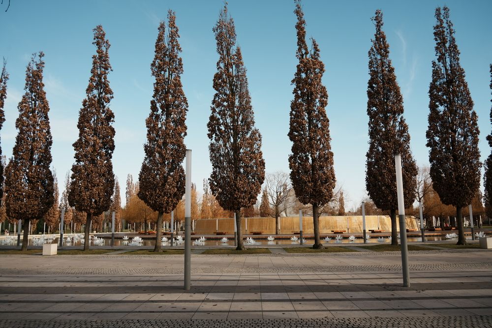 Фотография автора Вадим Коваленко