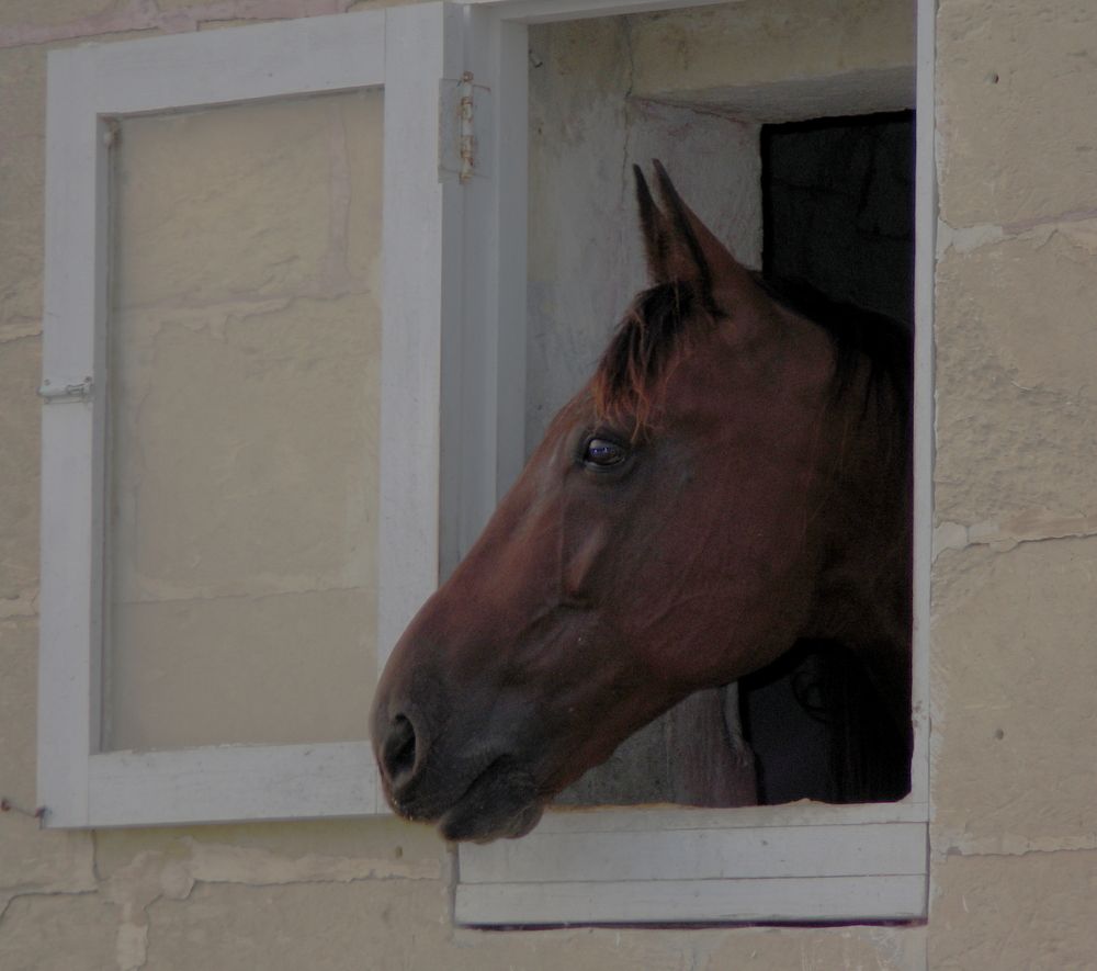 Photograph by Ernest Spiteri Gonzi