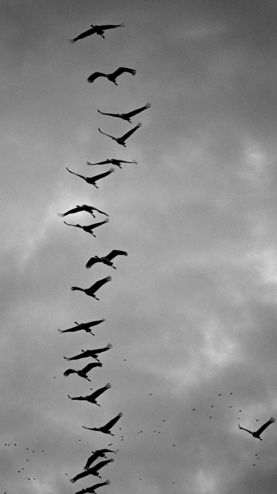 Photograph by Alex Reedson