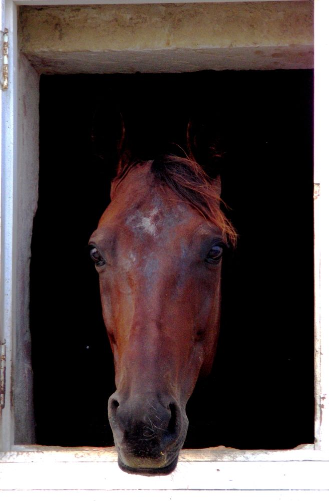 Photograph by Ernest Spiteri Gonzi