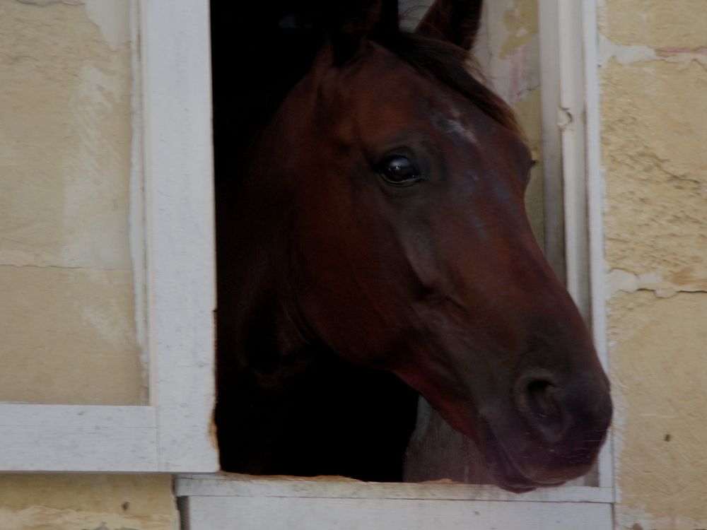 Photograph by Ernest Spiteri Gonzi