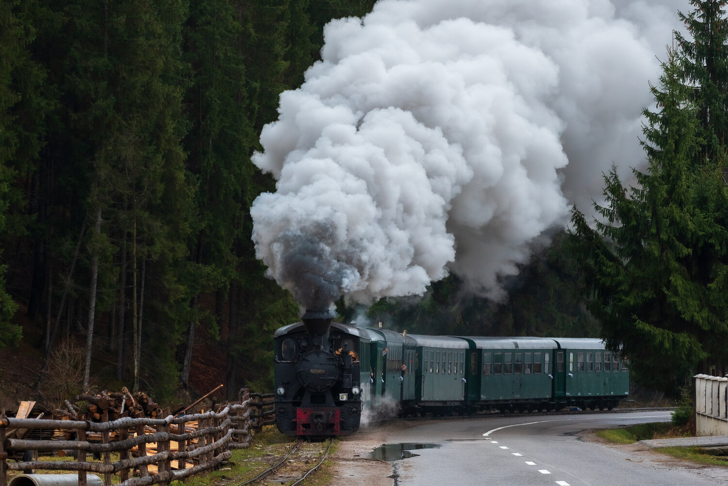 Photo #13064244