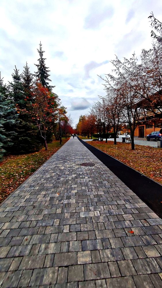 Photograph by Венера Иванова