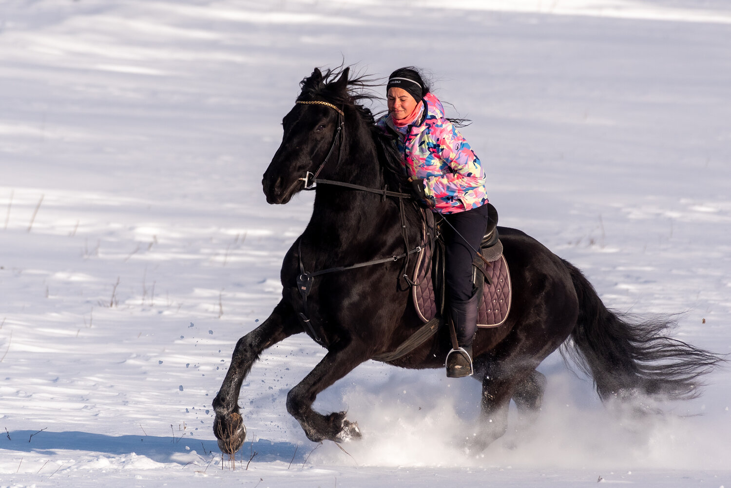 Photo #13064250