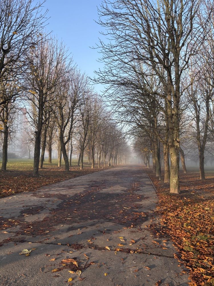 Photograph by Halina Mitsevich