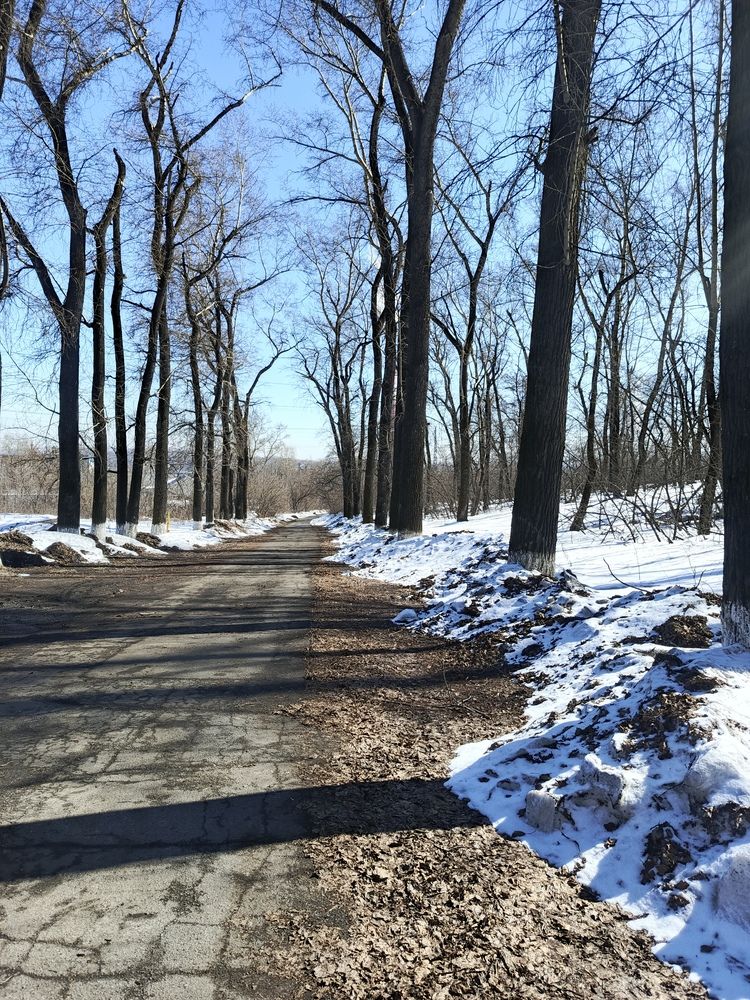 Фотография автора Ольга Петрова