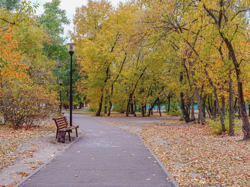 По дороге в парке..