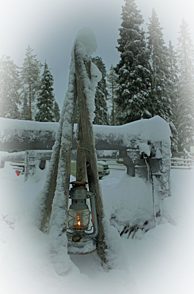 Фотография автора Рожнов Кирилл