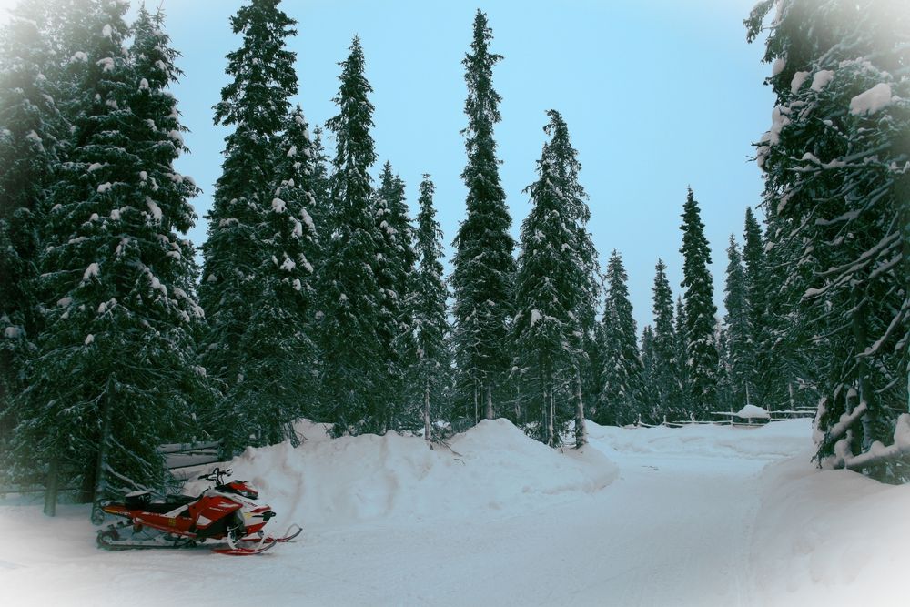 Фотография автора Рожнов Кирилл