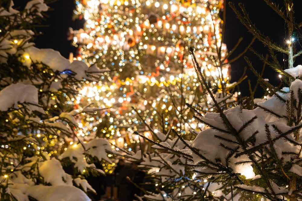 Фотография автора Алина Руденко