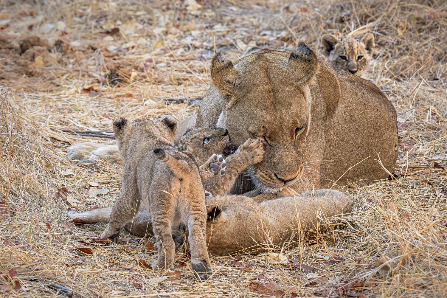 Mother\'s work Mother\'s work