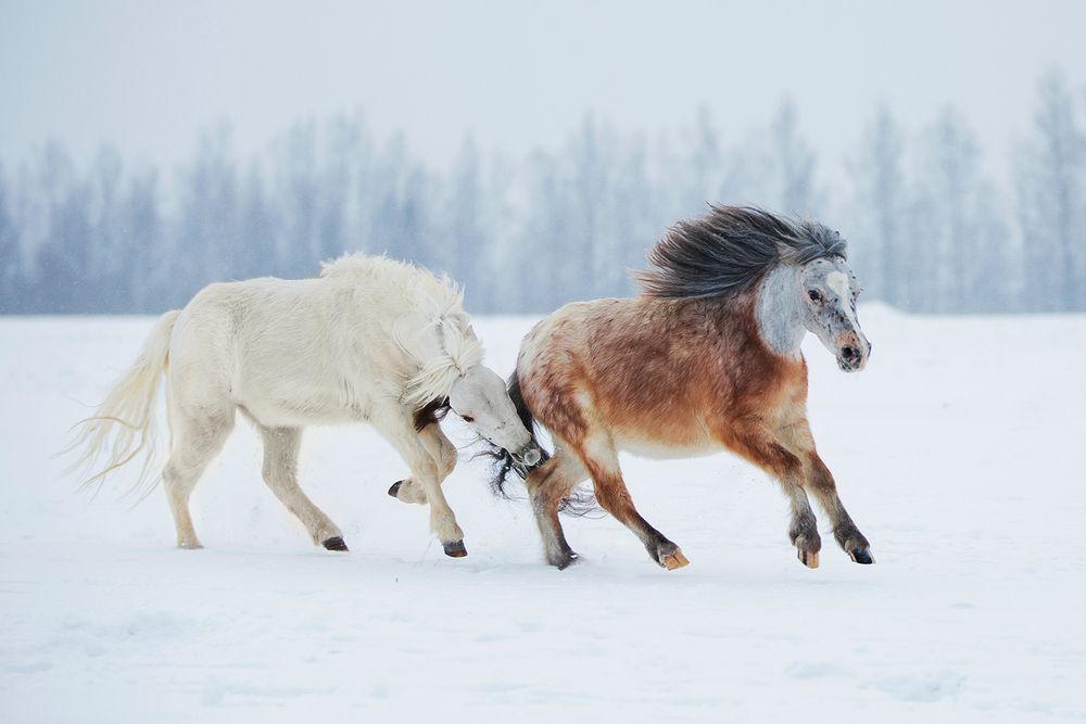 Photograph by Helena