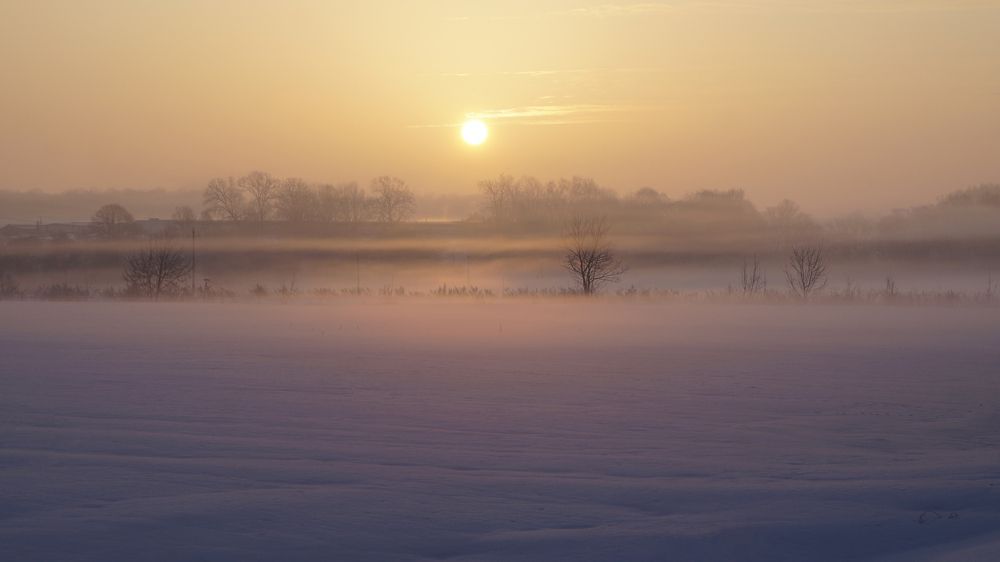 Фотография автора Сушкевич Светлана