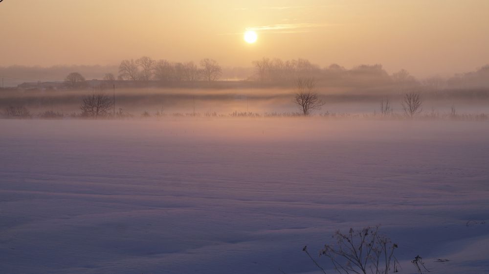 Фотография автора Сушкевич Светлана