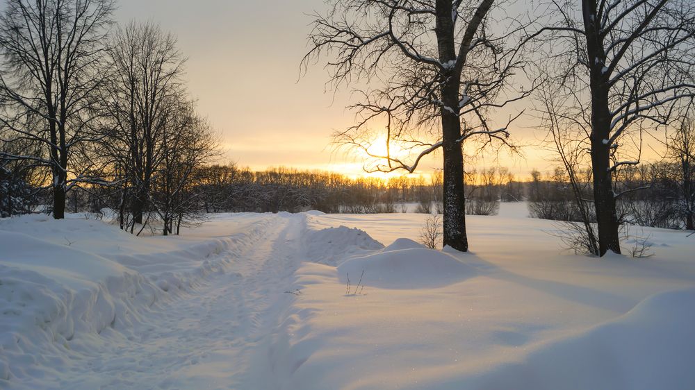 Фотография автора Сушкевич Светлана