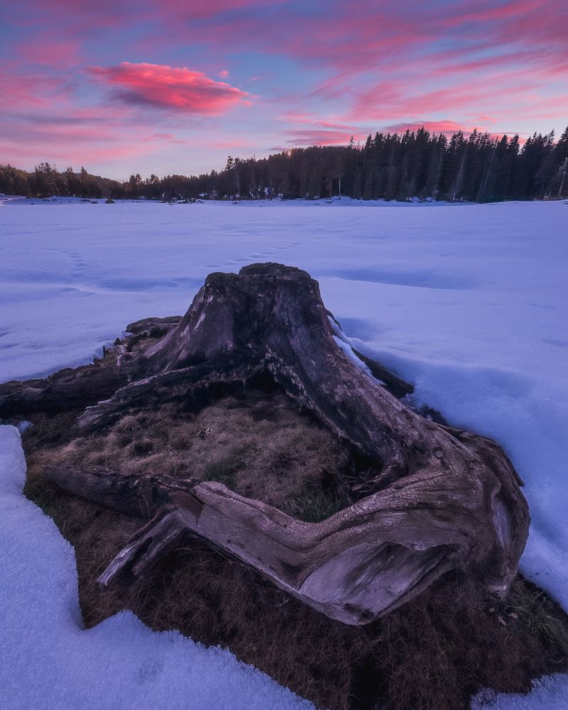 Фотография автора Lyuboslav Bochev