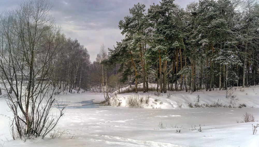 Фотография автора Сушкевич Светлана