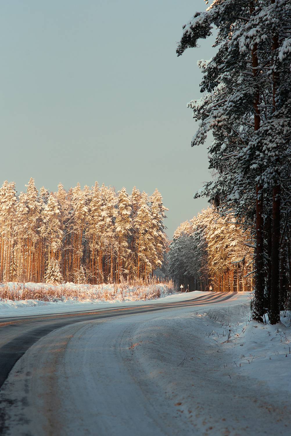 Фотография #13064431