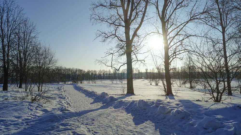 Фотография автора Сушкевич Светлана