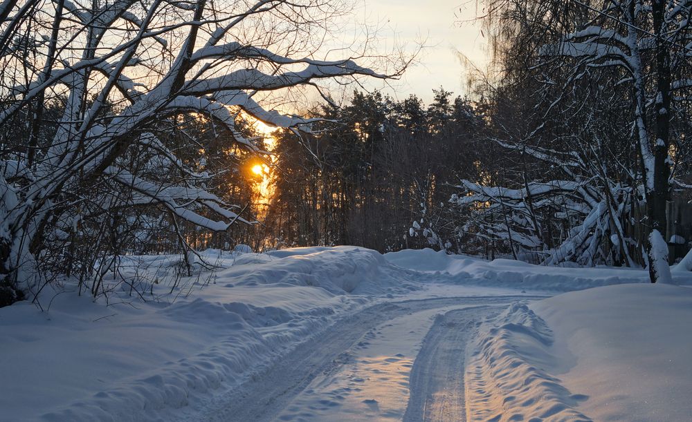 Фотография автора Сушкевич Светлана