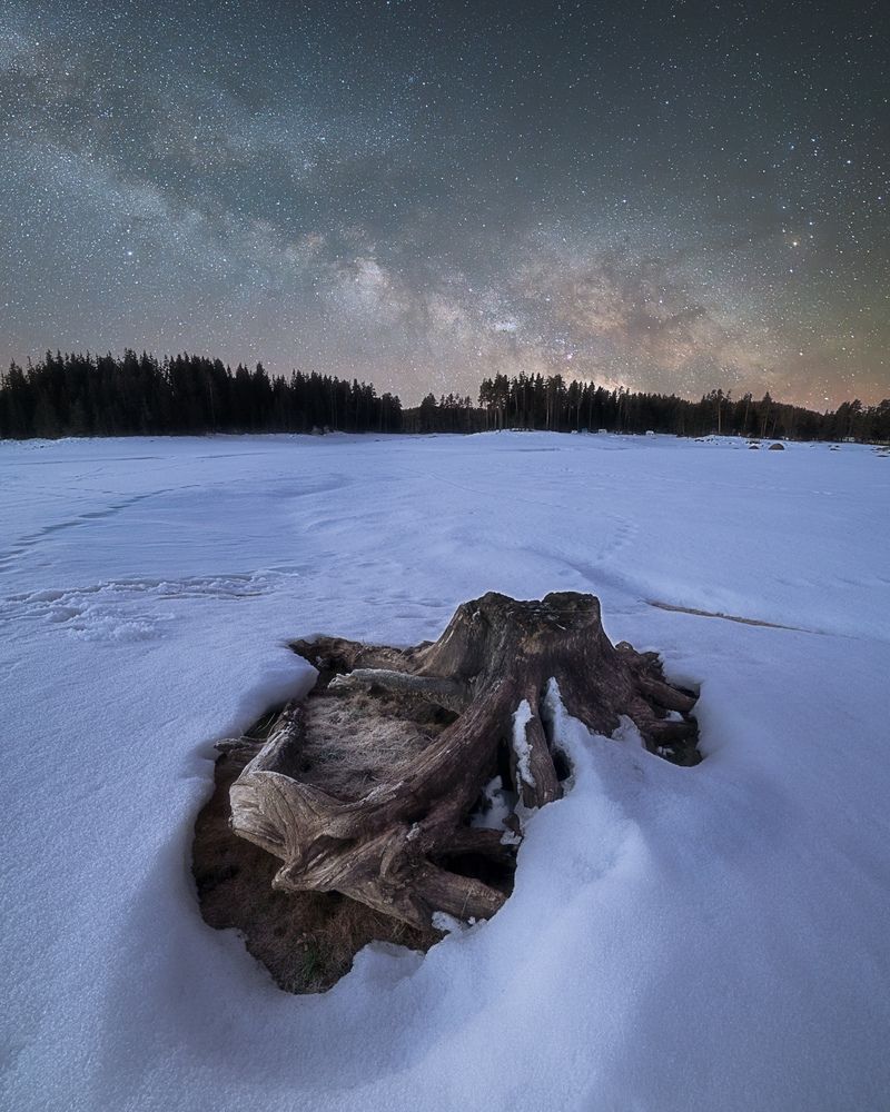 Фотография автора Lyuboslav Bochev