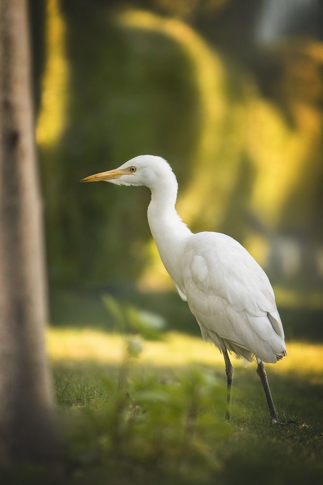 Photograph by Виктория Мамаева