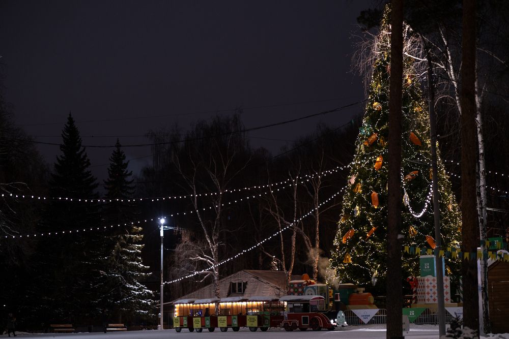 Фотография автора Aleksandr P.