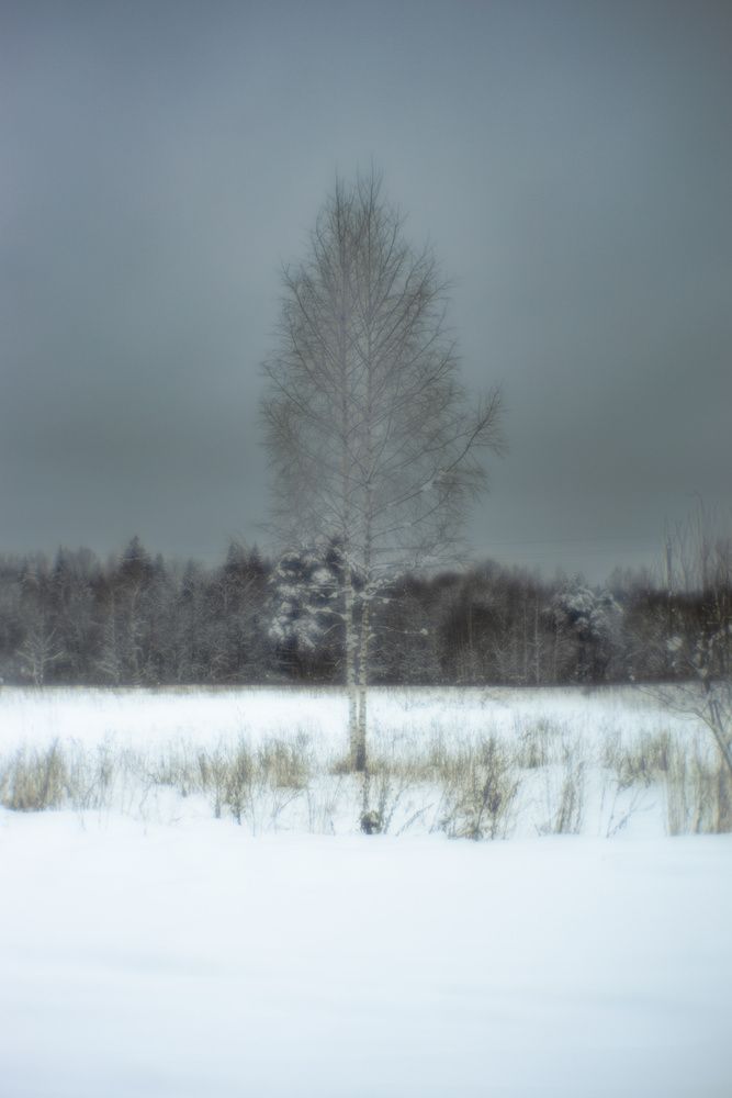 Photograph by Оксана Серёгина