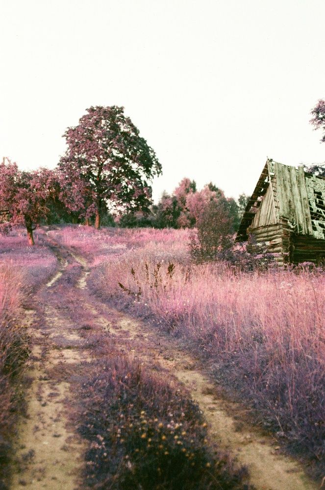 Photograph by Василий Селиванов