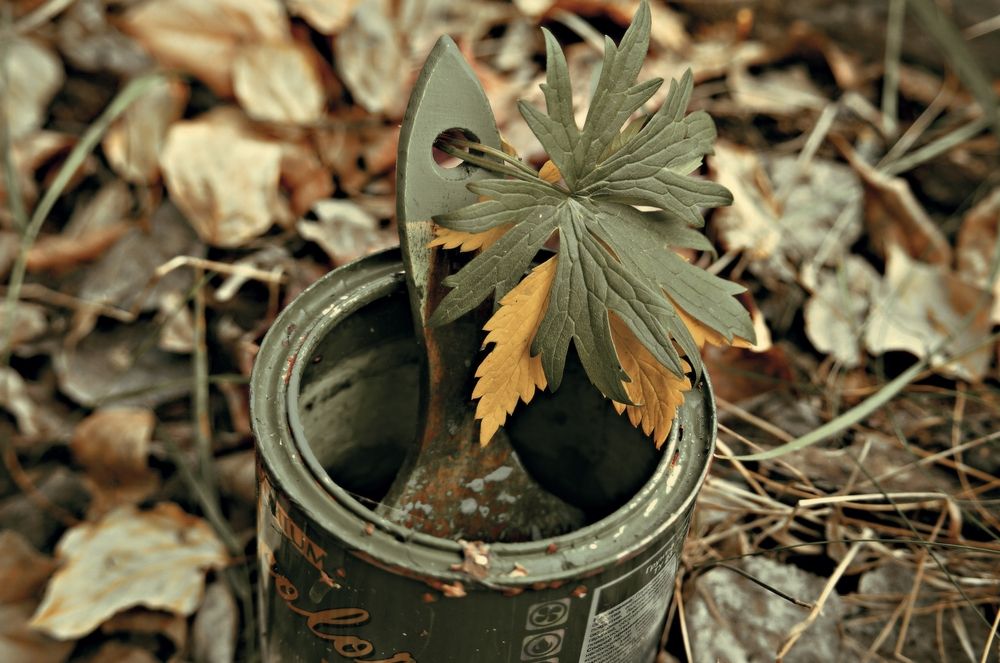 Photograph by Светлана Логинова