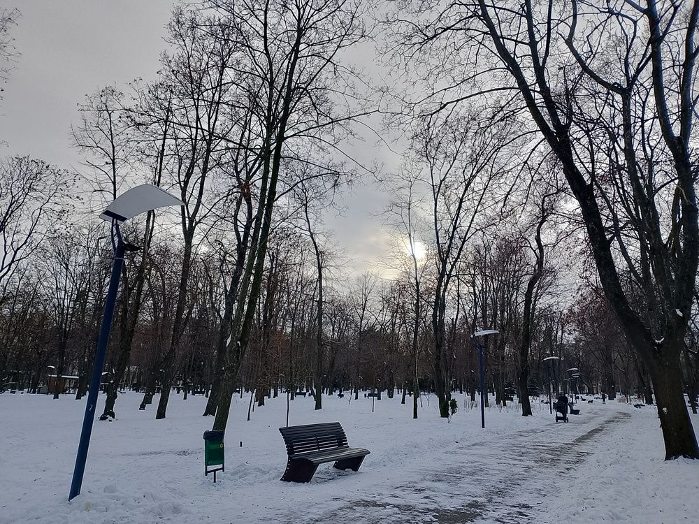 Photograph by Адамян Анна